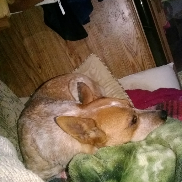 Dottie Stuart - Picture 6 of 8